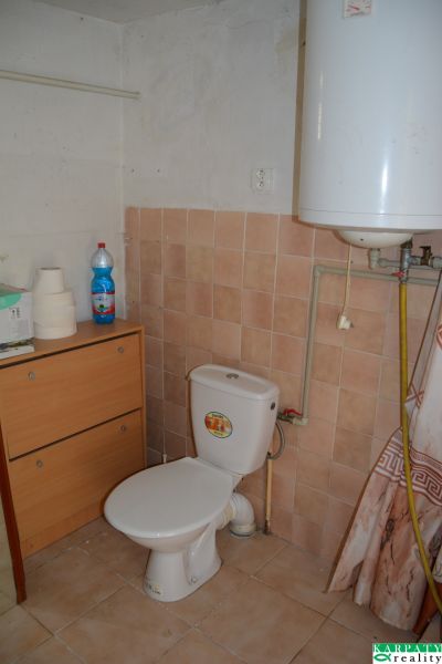 Koupelna v rodinném domě s WC, nábytkem, lahví a ohřívačem vody.