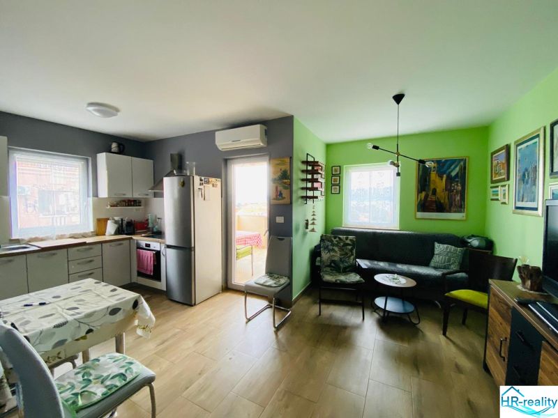 Rekreační apartmán s kuchyní, obývacím pokojem, uměním na stěnách a podlahou s dřevěným dekorem.