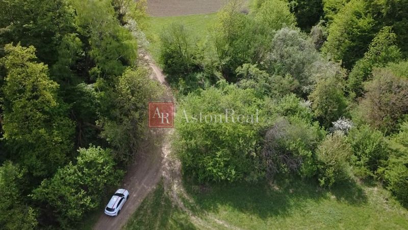 Auto na lesní cestě v rekreačních pozemcích Streženice, Streženice obklopené zelení.