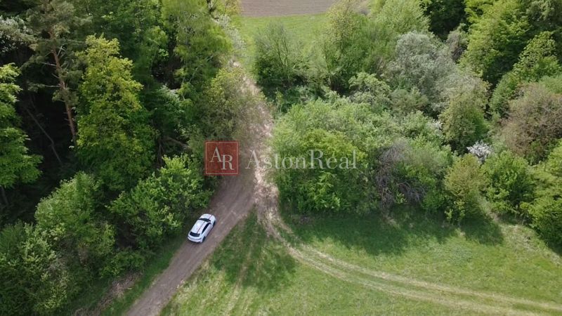 Louční cesta obklopená stromy na rekreačních pozemcích ve Streženicích, Streženice.