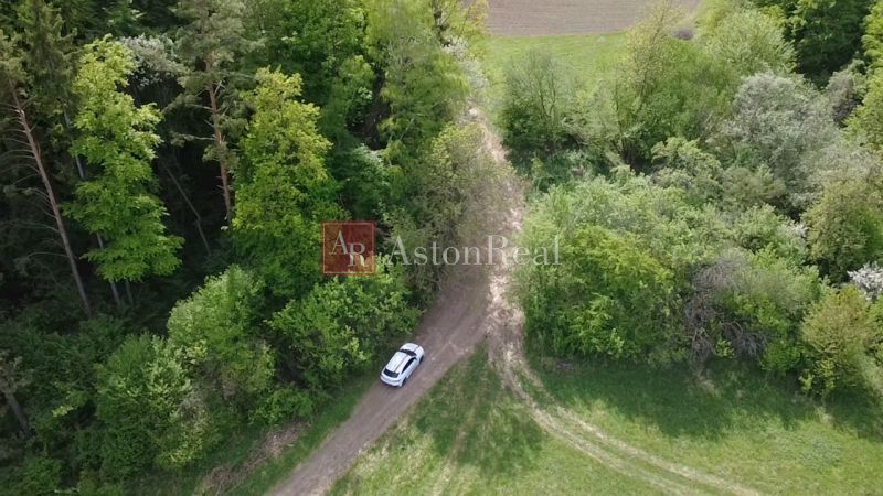 Auto na lesní cestě mezi zelenou vegetací v Rekreačních pozemcích ve Streženicích.