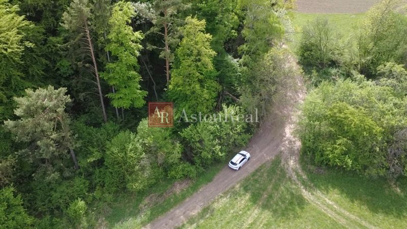 Louka s vozidlem před lesem na rekreačních pozemcích ve Streženicích, Streženice.