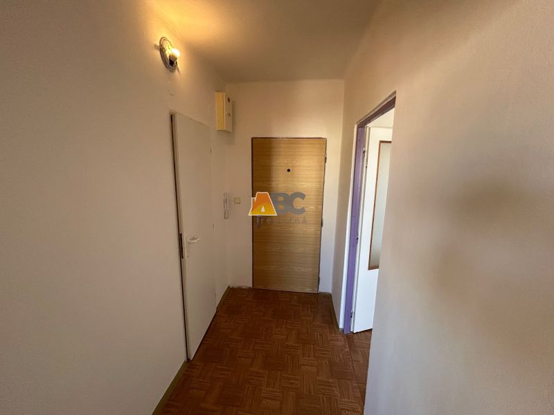 Vstupní chodba v 2-pokojovém bytě s podlahou s dřevěným dekorem a světlým osvětlením.