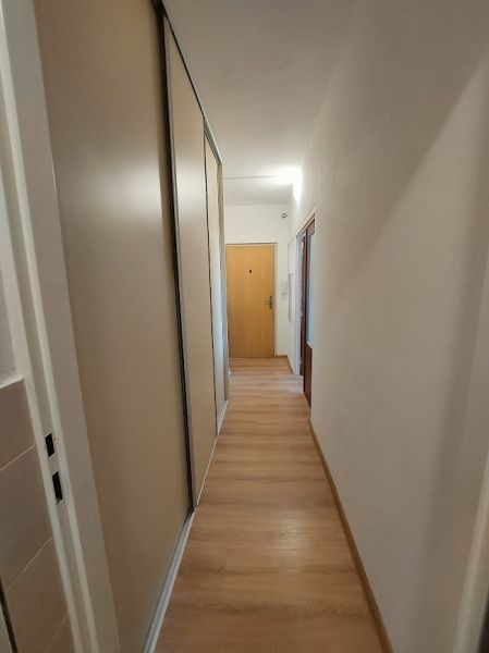 Chodba s vestavěnou skříní a podlahou s dřevěným dekorem v 1-pokojovém bytě.