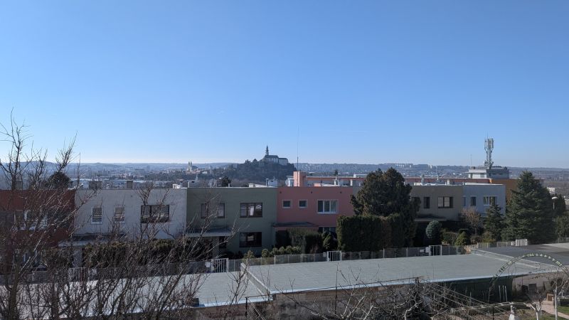 PXL_20260305_095942543.jpg