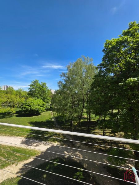 Výhled na park obklopený stromy z 3-pokojového bytu na Lesnické v Košicích.