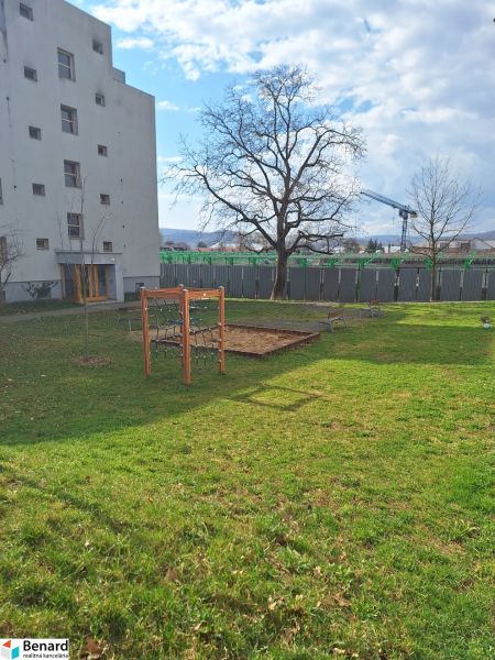 Dvůr u 2-pokojového bytu na Majakovského v Prešově s trávníkem a stromy.