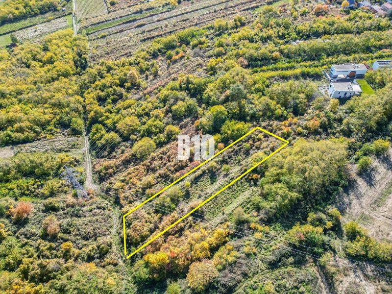 Letecký pohled na zahrady v Bratislavě III s rozsáhlými zelenými porosty.