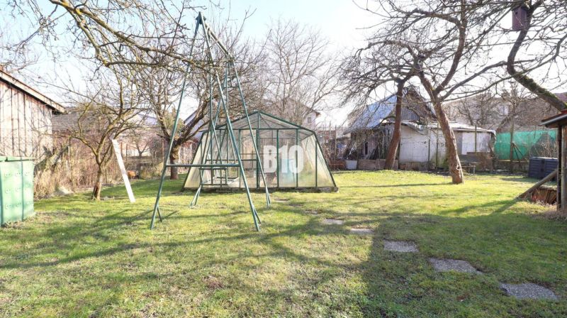 Zahrada rodinného domu v Turanech s houpačkou a skleníkem, obklopená stromy.