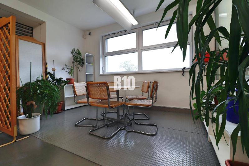 Interiér výrobních prostor se stolem, židlemi a rostlinami na podlaze.