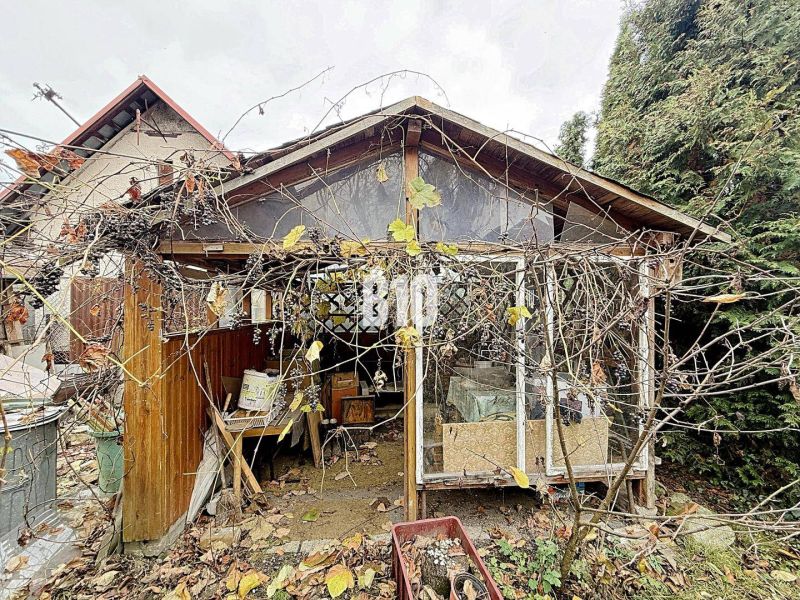 Stará dřevěná kůlna zarostlá popínavými rostlinami u rodinného domu v Kotešové.