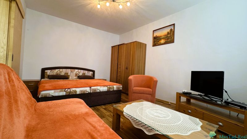 Obývací pokoj s pohovkou, postelí, křeslem a televizí, 1-pokojový byt, podlaha s dřevěným dekorem.