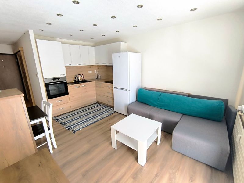 Kuchyně a obývací pokoj v 1-pokojovém bytě s kuchyňskou linkou a pohovkou na podlaze s dřevěným dekorem.