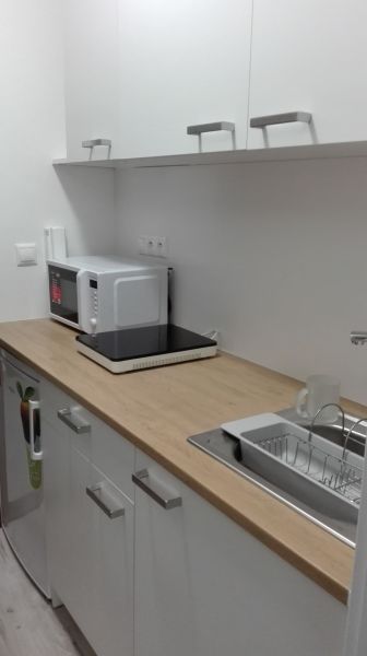 Kuchyňská linka v garsonce s mikrovlnkou, varnou deskou a dřevěným dekorem.
