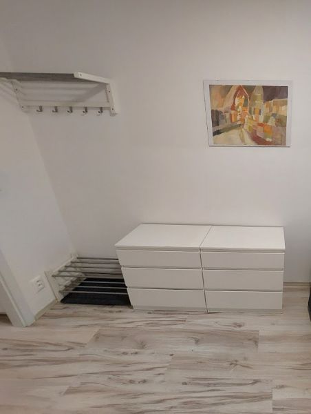 Garsonka s podlahou s dřevěným dekorem, bílým nábytkem a barevným obrazem na stěně.