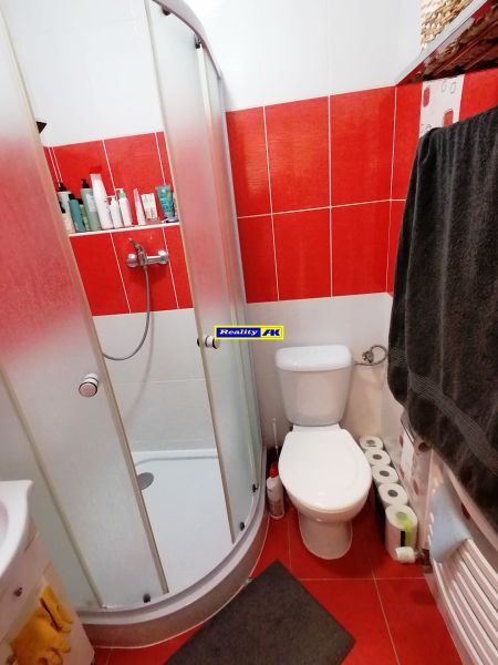 Koupelna v 1-pokojovém bytě s červenými obklady a sprchovým koutem.