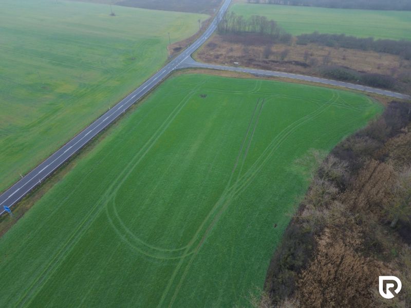 DJI_0647.jpg
