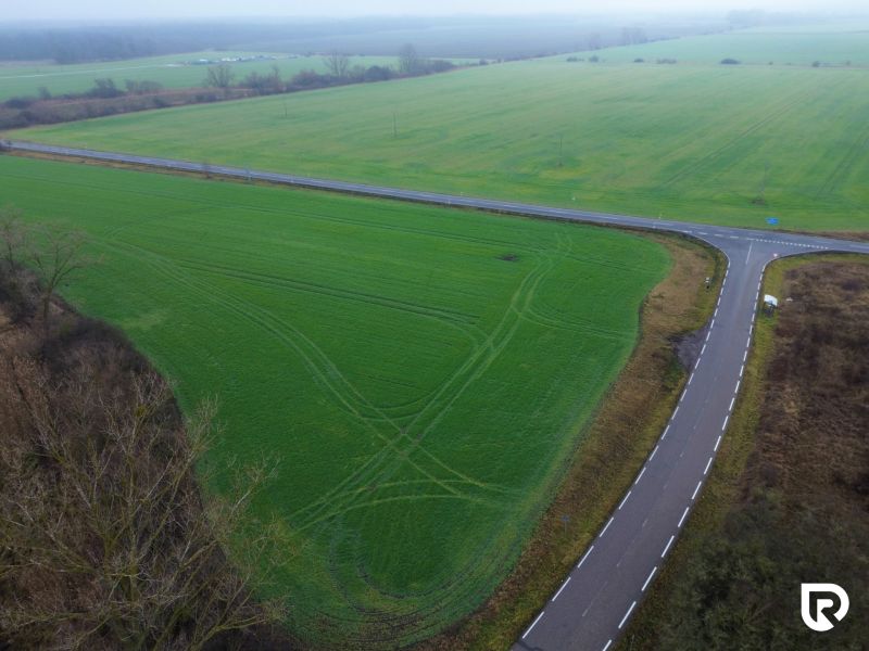 DJI_0654.jpg