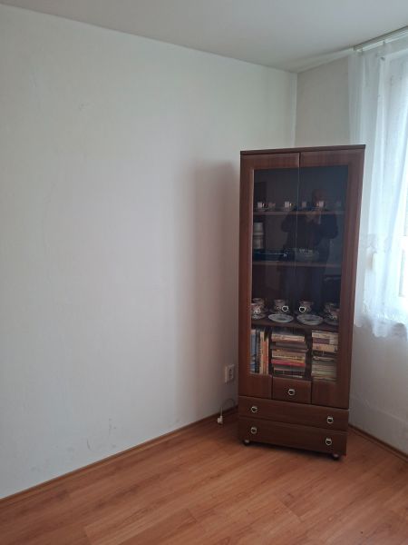 Pokoj v 2-pokojovém bytě s vitrínou, knihami a podlahou s dřevěným dekorem.
