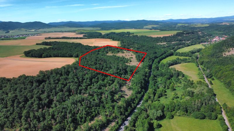 Zalesněná oblast a zemědělské pozemky v Domaníkách s vyznačeným územím.