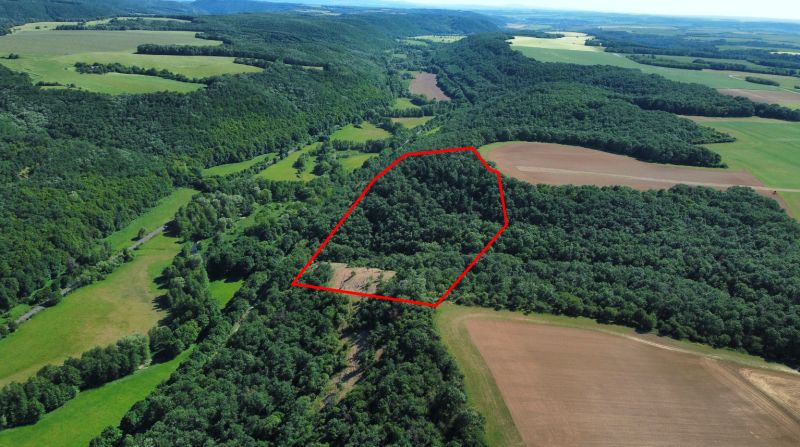 V Domaníkoch se nacházejí zemědělské a lesní pozemky s hustým zalesněním a políčky.