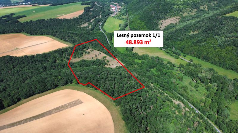 Letecký pohled na lesní pozemek v Domaníkách s rozlohou 48.893 m².
