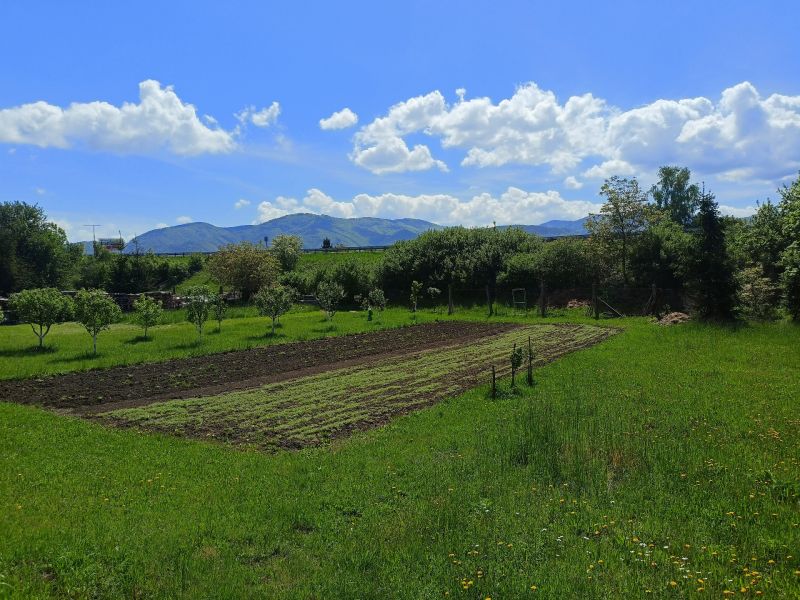 Pozemek vhodný k bydlení ve městě Turany, Hlboká cesta, s ovocnými stromy a zahradou.
