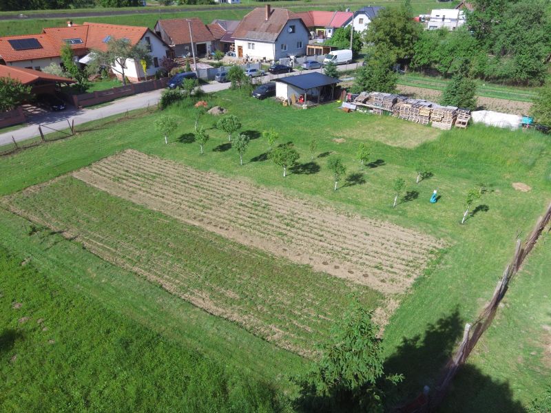 Pozemky - bydlení na Hluboké cestě v Turanech s ovocnými stromy a zahradou.