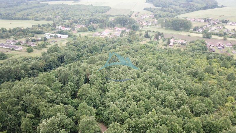Letecký pohled na zemědělské a lesní pozemky u Trebušovců obklopené zelení a venkovskými oblastmi.