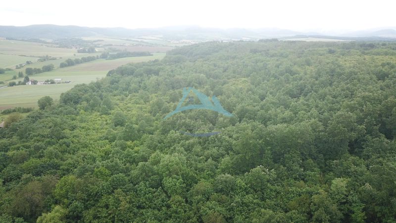 Rozsáhlé lesy a zemědělské pozemky u Trebušovců rozprostírající se na zelených údolích.