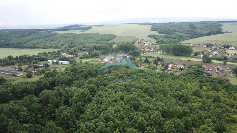 Letecký pohled na zemědělské a lesní pozemky v okolí Trebušovců s vesnickým osídlením.