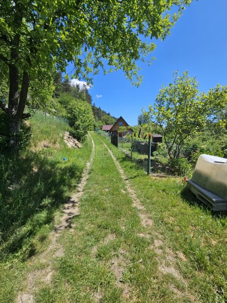 Cesta obklopená zelení vede k chatě v Budatíně.