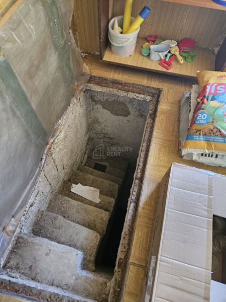 Betonové schody v chatě vedoucí do sklepa, obklopené skladovanými předměty.