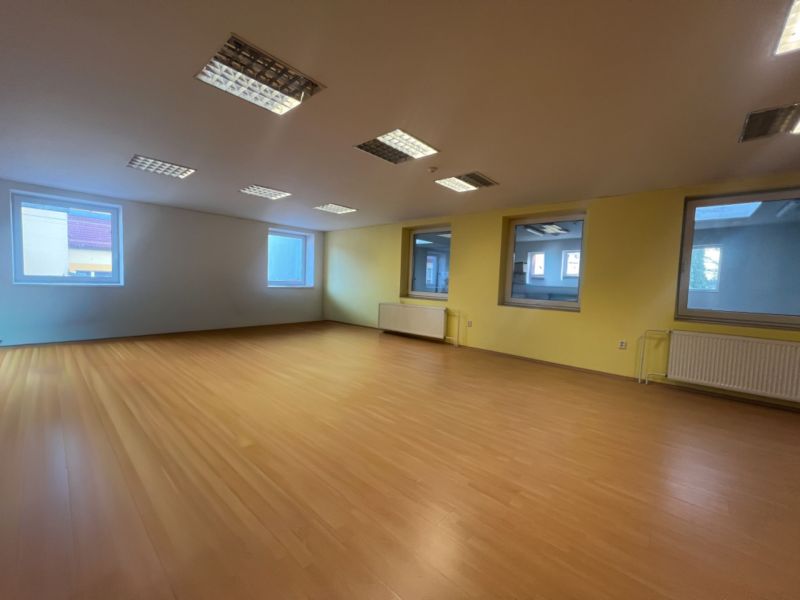 Prostorná místnost s okny a podlahou s dřevěným dekorem, sklady a haly.