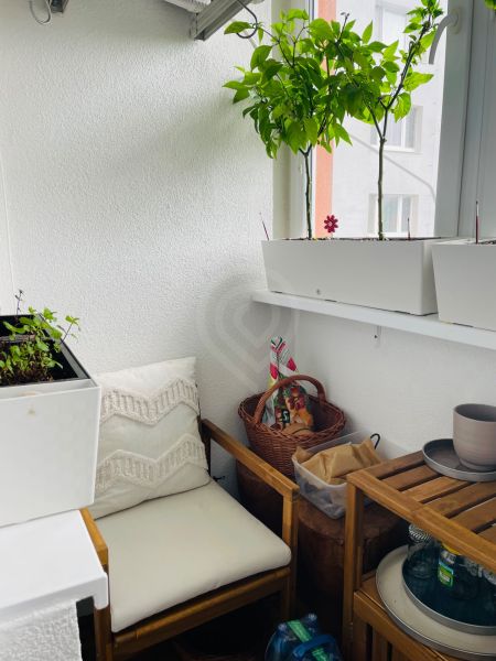 Zátiší s křeslem a rostlinami na útulném balkóně ve 3-pokojovém bytě.