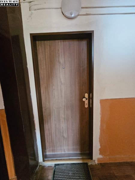 Vstupní dveře s dřevěným dekorem a černou rohoží, Garsonka.