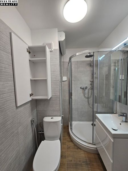 Koupelna s toaletou, sprchovým koutem a skříňkou v garsonce s podlahou s dřevěným dekorem.