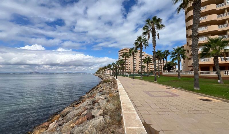 Pobřežní promenáda s palmami u Rekreačního apartmánu v La Manga del Mar Menor, Španělsko.