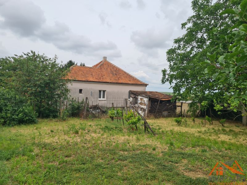 Rodinný dům v Dulovcích s velkým dvorem a zahradou, obklopený stromy.