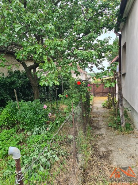 Zahrada u rodinného domu v Dulovcích se stromem a květinami podél chodníku.
