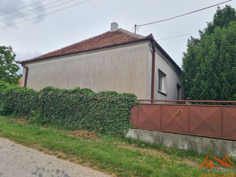 Rodinný dům v Dulovcích s plotem porostlým zelení zasazený u cesty.