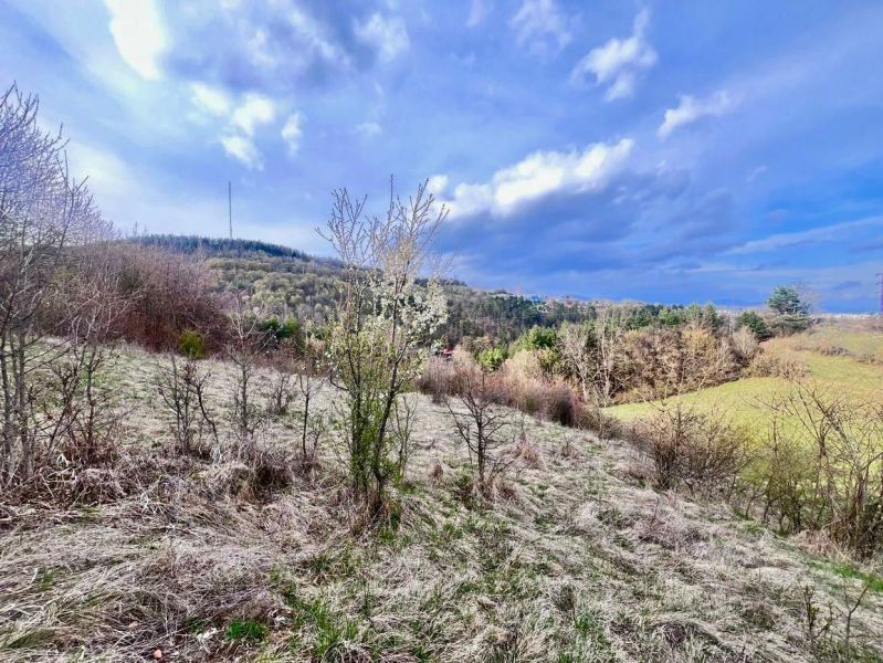Kopcovitá krajina s trávou a keři v okolí Banské Bystrice, vhodná k bydlení.