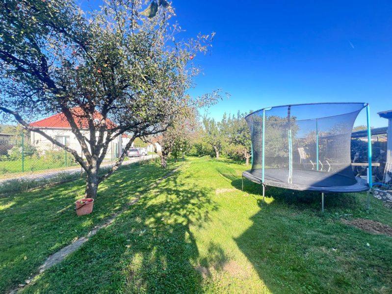 Zahrada v Žiranoch, okres Nitra, Nitranský kraj s ovocným stromem a trampolínou u rodinného domu.