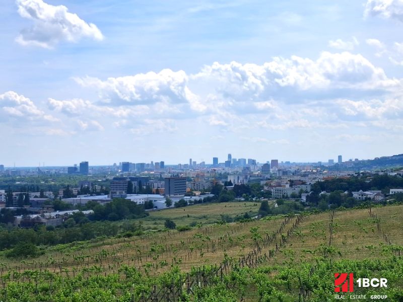 Vinice na Ptačí cestě v Bratislavě - Rači s panoramatickým výhledem na město.