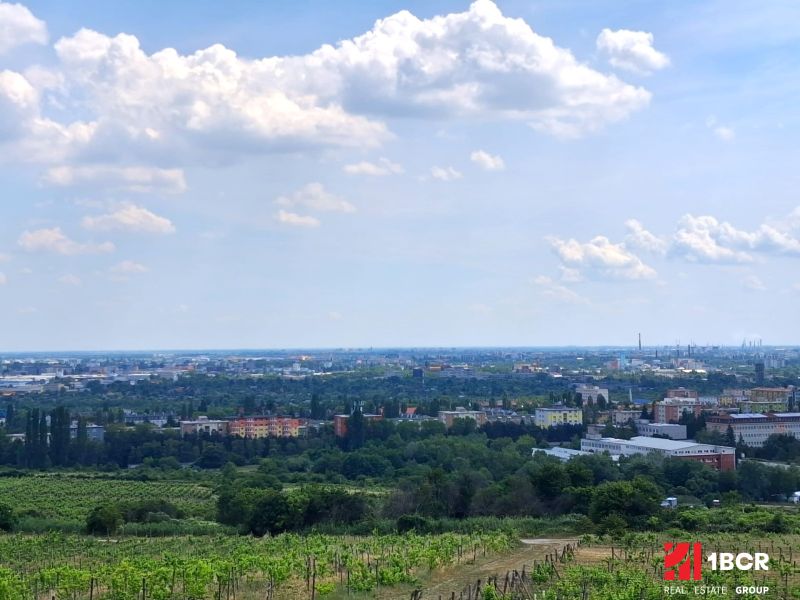 Výhled z vinic na Vtáčikově cestě v Bratislavě - Rači na město.