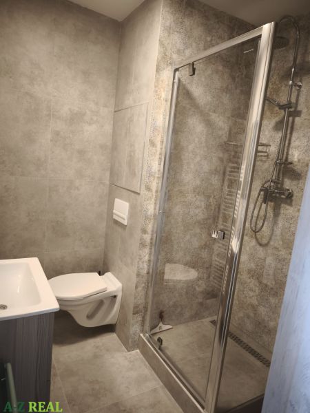 Koupelna v 2-pokojovém bytě s walk-in sprchou a toaletou, vše v šedé barevné schémě.