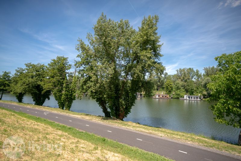 Cesta podél řeky s loděmi obklopená zelení na Švermově ulici v Trenčíně.