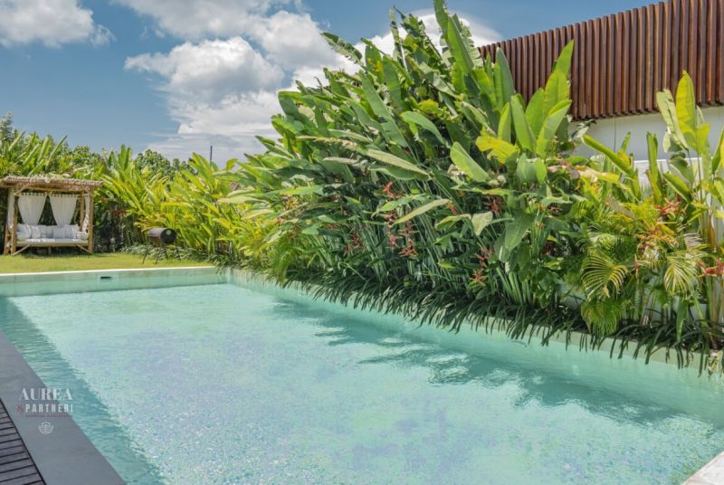 Bazén a svěží zeleň v zahradě vily na Bali pod jasnou oblohou.