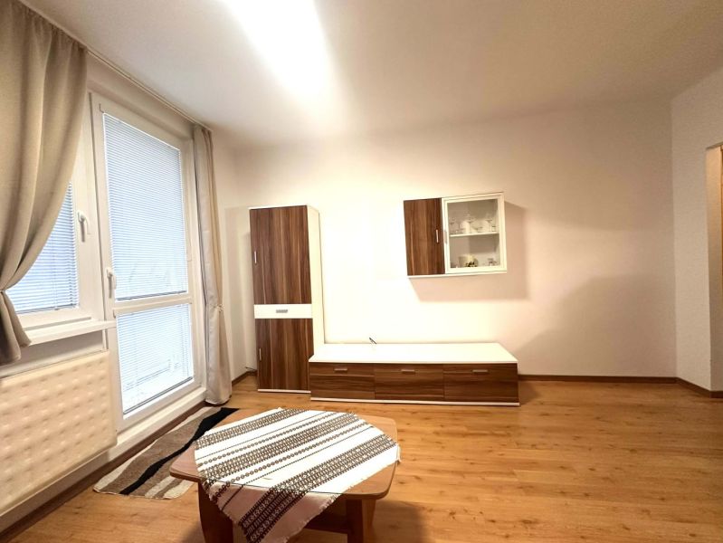 Rekreační apartmán s podlahou s dřevěným dekorem, nábytkem a velkým oknem.