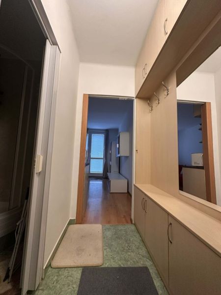 Chodba v rekreačním apartmánu se skříňkou a podlahou s dřevěným dekorem.